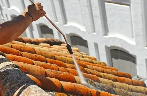 Nettoyage de toitures - Courtomer